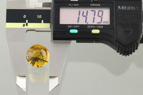 Fossil SPIDER Round SPHERE Genuine BALTIC AMBER Bead 14.7mm 1.8g 250619-8 - Picture 9 of 9