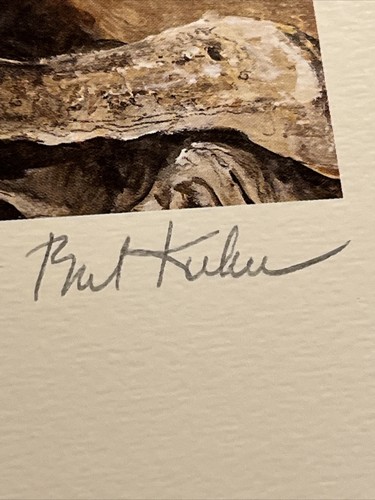 1982,Buzzard Print,Bob Kuhn,African White Vulture,143/777,Signed S.,No Damage - Bild 8 von 12