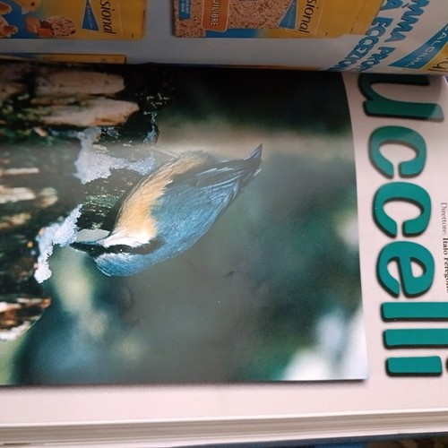 Rivista di ornitologia uccelli anno 2002 - Bild 2 von 4