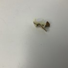 Picture 2 of 2