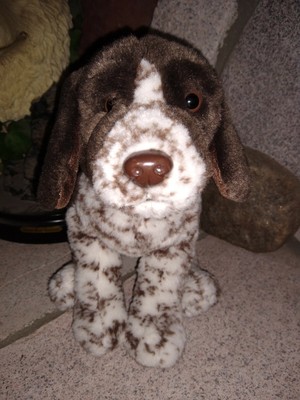 webkinz german shorthaired pointer