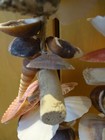 Bild 8 von 11