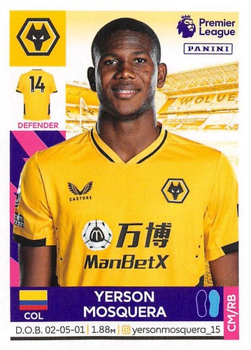 PEGATINA PANINI PREMIER LEAGUE 2022 21/22 COLECCIONAR 434 - 636 (Newcastle - Wolves) - Imagen 180 de 202