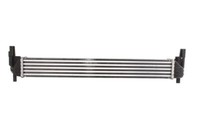 Thermotec DAA005TT LadeluftküHler TurboküHler FüR Audi A1 Ibiza SC Toledo Fabia