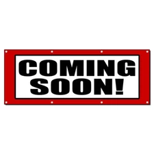 Sterring Wheel Lock SUV Caravan Window Punch Type A 10335 CZC Auto In Stock!