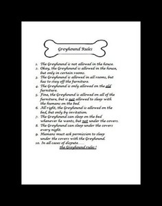 Greyhound-034-Rules-034-Dog-Art-Print-Matted