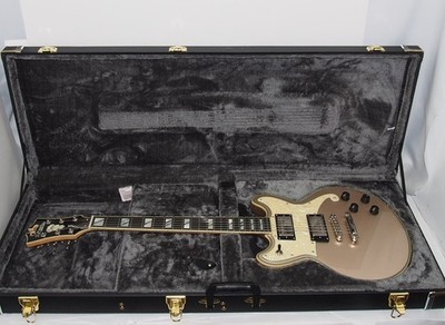 D'Angelico Deluxe Brighton Electric Guitar with Hard Case  WG5180