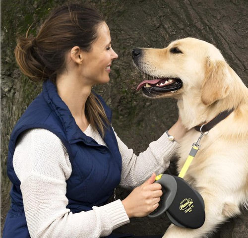 Flexi Giant Perro Plomo Negro Grande Mascota Correa Extensible Retráctil 8M Cinta Fuerte - Imagen 6 de 6