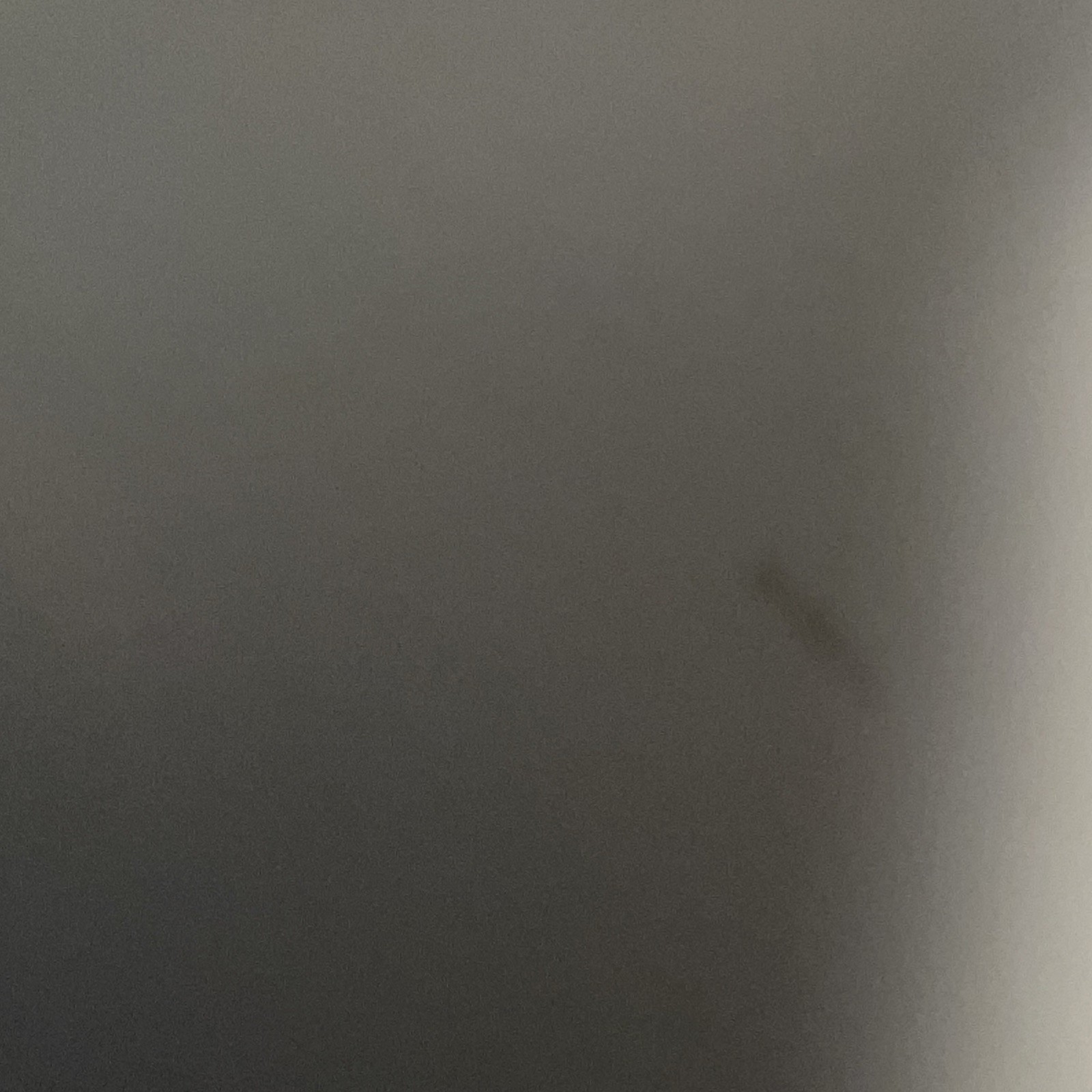 Picture 6 of 8