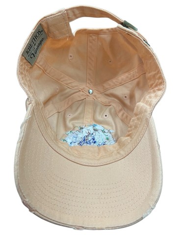 Kbethos Vintage Rare Disney Splash Mountain Embroidered Hat Beige Ball Cap - Picture 5 of 7