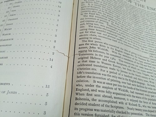 Antique 1892 Pictorial Family Holy Bible Self-Pronouncing Edition - Picture 10 of 20