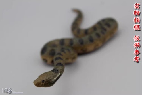 Animal Modelling 1/6 Green Anaconda Statue Animal Figure Model Toys Decoration - Picture 3 of 7