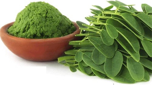 Havintha Natural Moringa Powder 100G Free Shipping World Wide - Picture 3 of 3