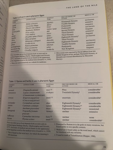 Ancient Egyptian Medicine - Picture 3 of 8