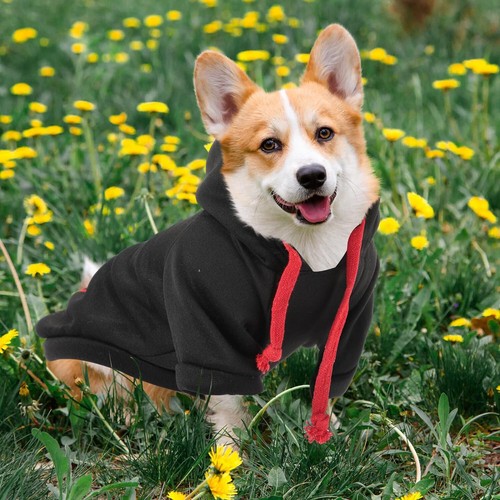 Hunde Hoodie Haustierkleidung mit Herz- oder Pfotenmuster schwarz Büffel kariert Gr. M - Bild 6 von 10