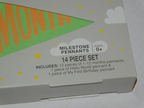 Infant Baby Milestone Monthly Age Pennants Boy Girl Photos First Year 14 Pieces - Picture 3 of 4