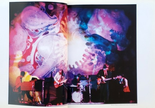 Woodstock Vision: The Spirit of a Generation Signed by Elliott Landy 1st 2009 - Picture 7 of 13