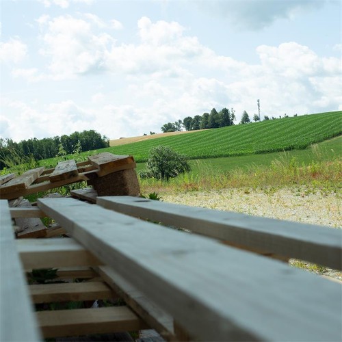 Pro Circular Solution Pole Filter Slim Line 72MM Pol Against Light Reflection - Picture 4 of 6