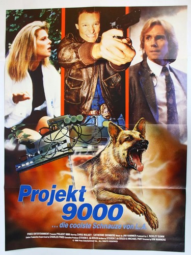 Original Filmposter Filmplakat Sammlung Konvolut Anfangsbuchstabe O/P Auswahl - Bild 72 von 72