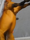 Bild 8 von 18