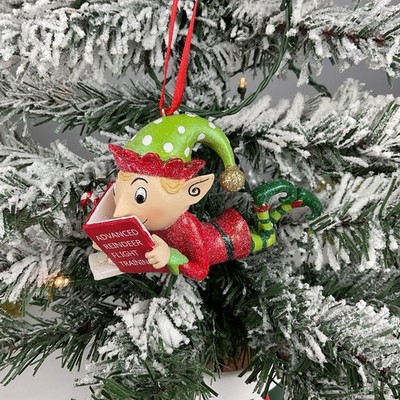 Christmas Ornament- Elf In Hat Reading  Advanced Reindeer Flight Training. 