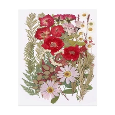 50 Pcs Dried Pressed Flower Leaves Bulk for Resin, Romantic Roses