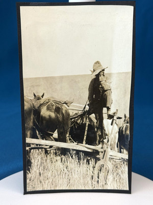 Man & Horses Harvesting Wheat Field Waitsburg Washington Antique 1920 Photo #127