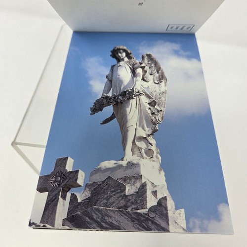 New Orleans Friedhöfe Postkartenbuch 15 Farbpostkarten Robert Brantley Jan - Bild 4 von 7