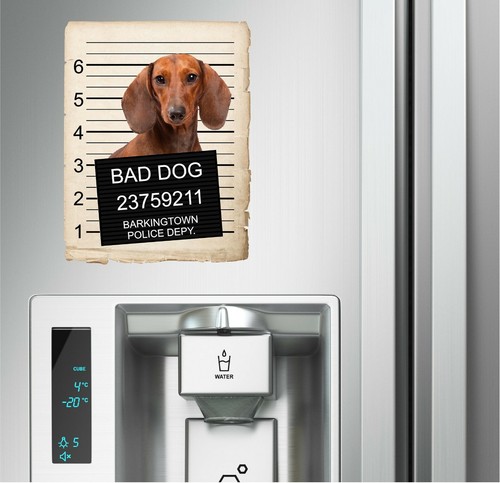 Dachshund Mugshot Bad Dog Fridge refrigerator Car Magnet - Foto 3 di 6