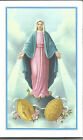 Imagen 6 de 6