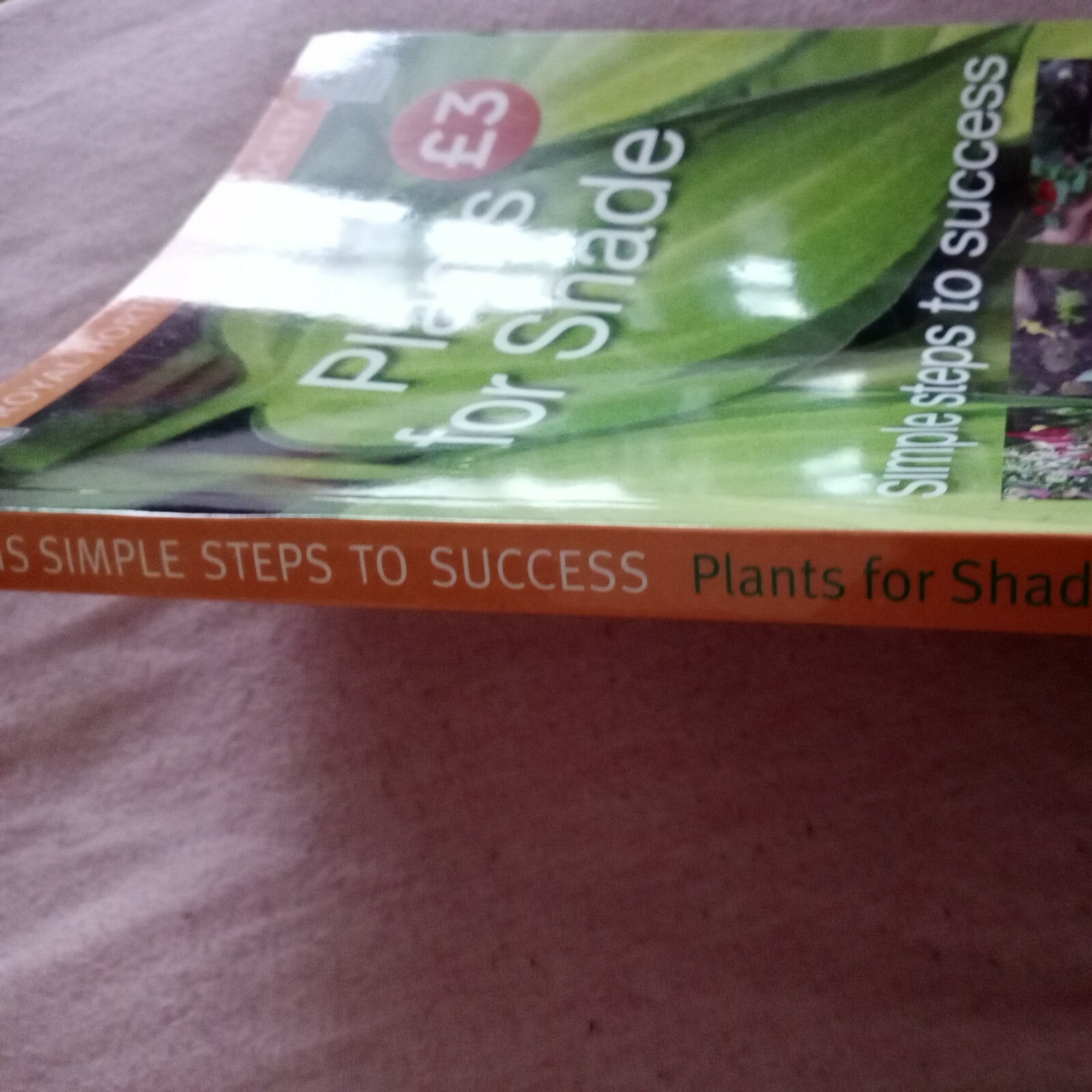 Radical Red Dex: Simple Steps To Success - ot6fb01