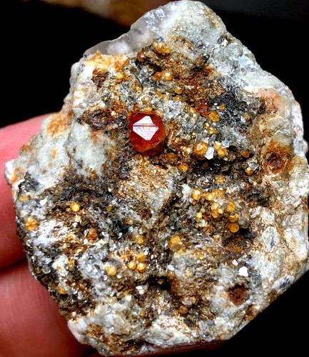 33g 1PC Brand new Rare Black SMOKY QUARTZ Crystal Point&Garnet Spessartine q326 - Picture 3 of 7