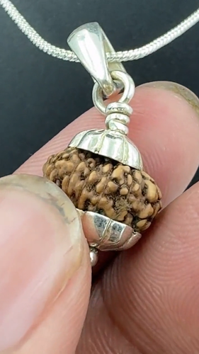 13 Mukhi Indonesian Rudraksha Pendant 925 Sterling Silver Spiritual Amulet - Video 1 of 1