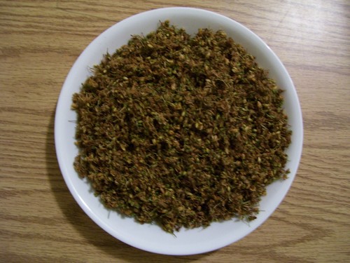 Johanniskraut Blüten, Blätter (2,4 oz, Bio, Hypericum perforatum)