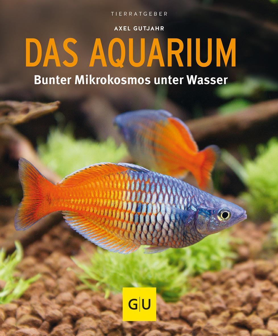 Das Aquarium | Bunter Mikrokosmos Unter Wasser | Axel Gutjahr |