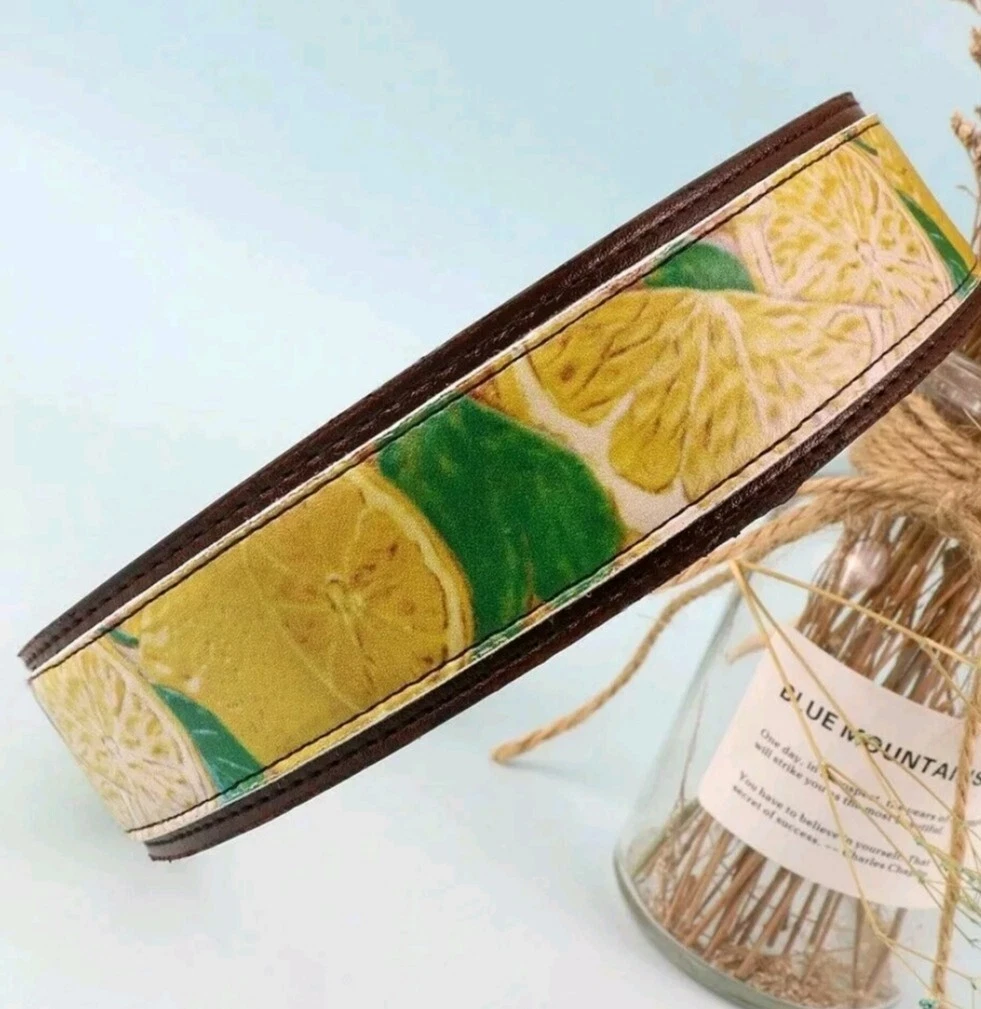 Handmade designed Leather Dog Collar with lemon pattern size medium to large