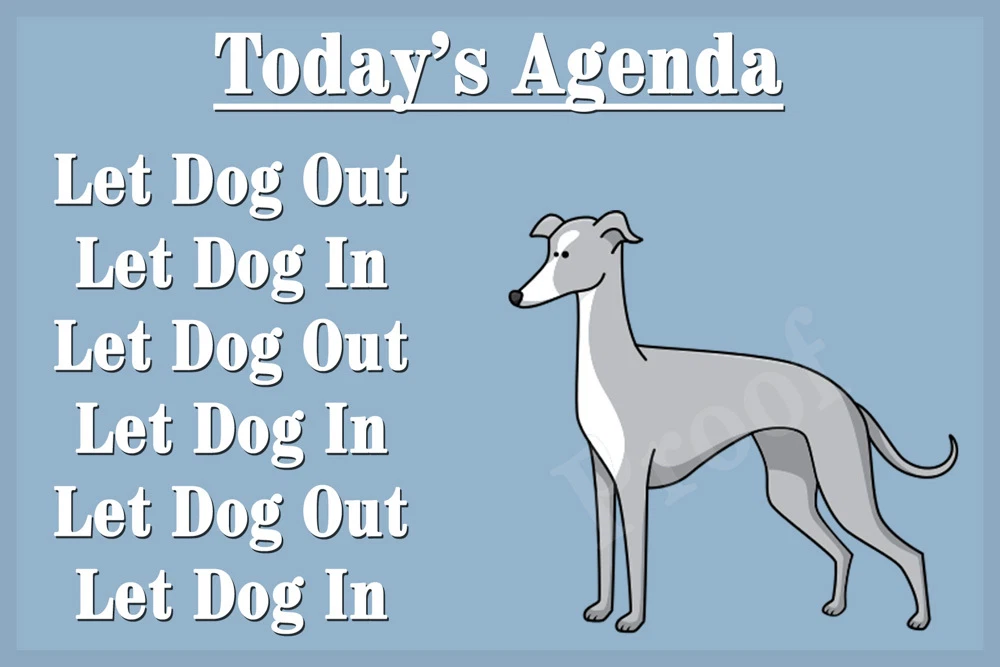 Greyhound Whippet Lurcher Dog Funny Fridge Magnet Birthday