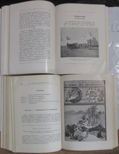 ALGERIE INSTITUT PASTEUR RECHERCHES SCIENTIFIQUES DE 1900 à 1949 COMPLET 3 VOL. - Imagen 6 de 10