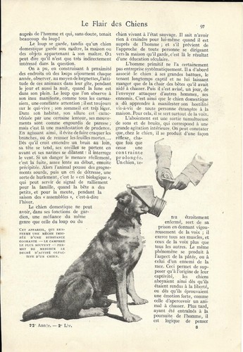 Le flair des chiens - - Article de presse 1919 - Picture 3 of 4