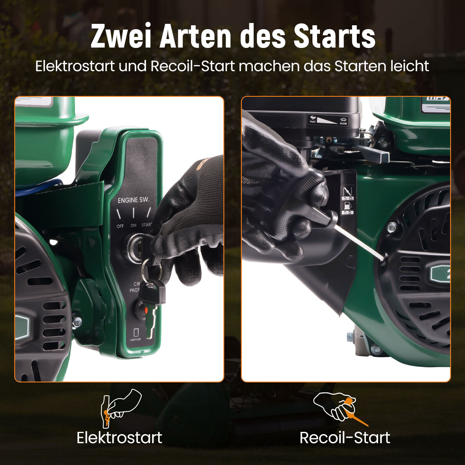Bild 10 von 13