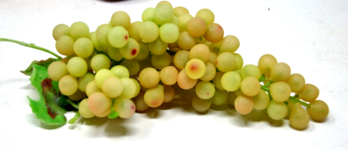 Faux Mixed Plastic Fruit Realistic Looking Pear Apple Lemon Grapes - 9 Pieces - Picture 6 of 6
