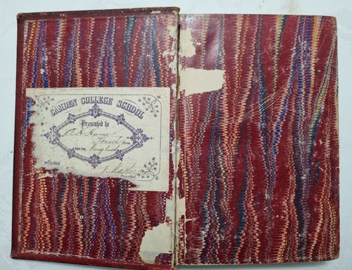 SW Cozzens ~ The Marvellous Country ~ HC Acceptable (1875 UK ed) - Picture 7 of 15