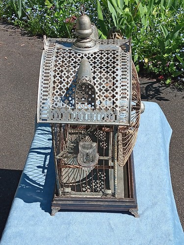 Fancy Victorian Wire Brass Bird Cage w/Wheel, Heinz Pierce + Buffalo NY 1880 - Picture 18 of 22