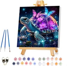 Canrichshop Framed Paint by Numbers Kit for 12 inches x 12 inches, BKH1817