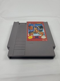 Tag Team  Wrestling Authentic NES Game Tested & Working