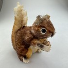Foto 6 di 7