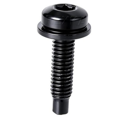 20pcs Black T30 Torx Dog Point SEMS Bolt & Washer Fender Body M6 x 1.0 Metric