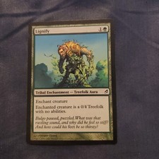 Mtg Lignify