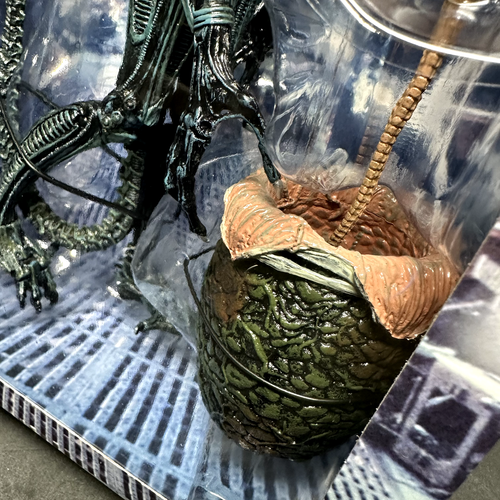 NECA Aliens Ultimate Edition 7" Scale Blue Alien Action Figure (1986) - NIB - Picture 9 of 11