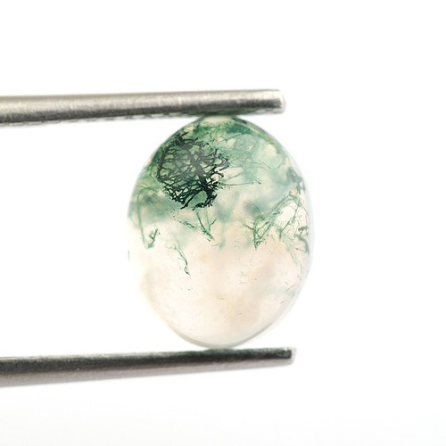Natural Tree Moss Agate Oval Shape 10X8mm Loose Gemstone Birthday Gift 2.50 Ct. - Picture 4 of 6